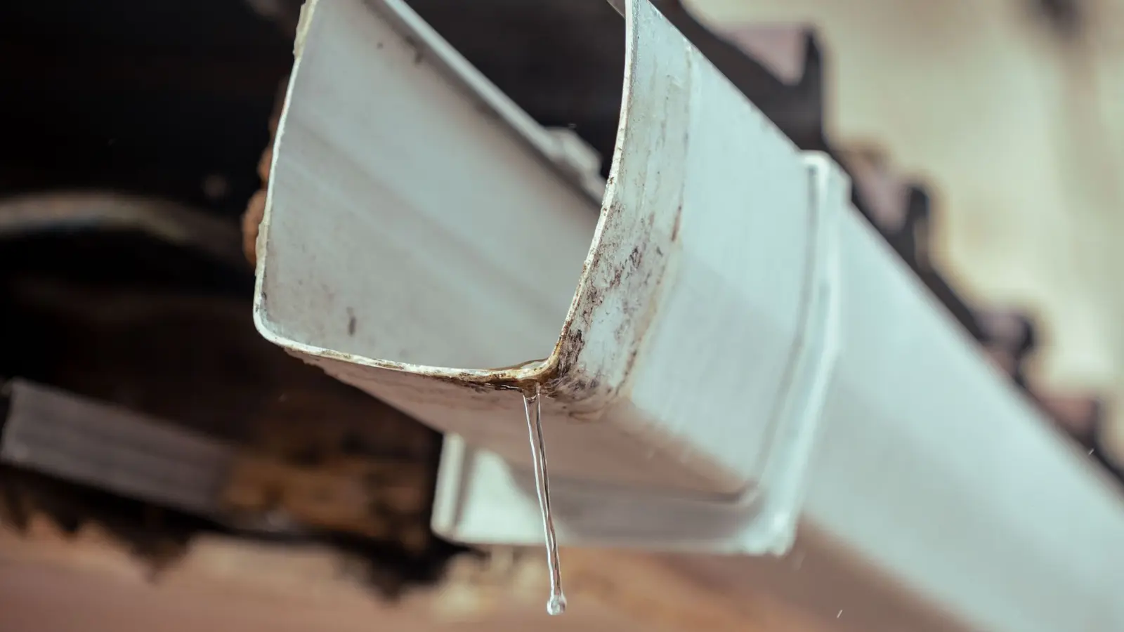 Rainwater dripping from the end of a white house gutter